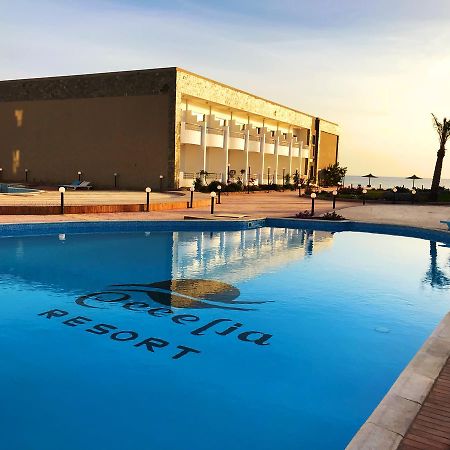 Cecelia Resort Хургада Экстерьер фото